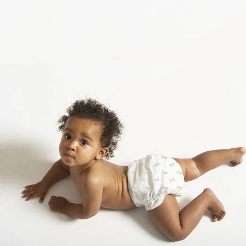 Eco-Luxe Nappy Trial Pack