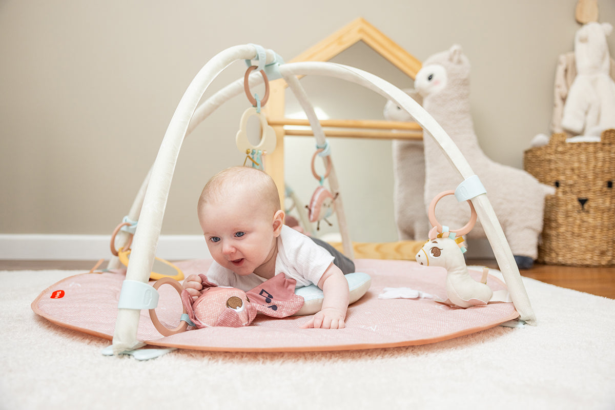 Unicorn Wonders Developmental Gymini®