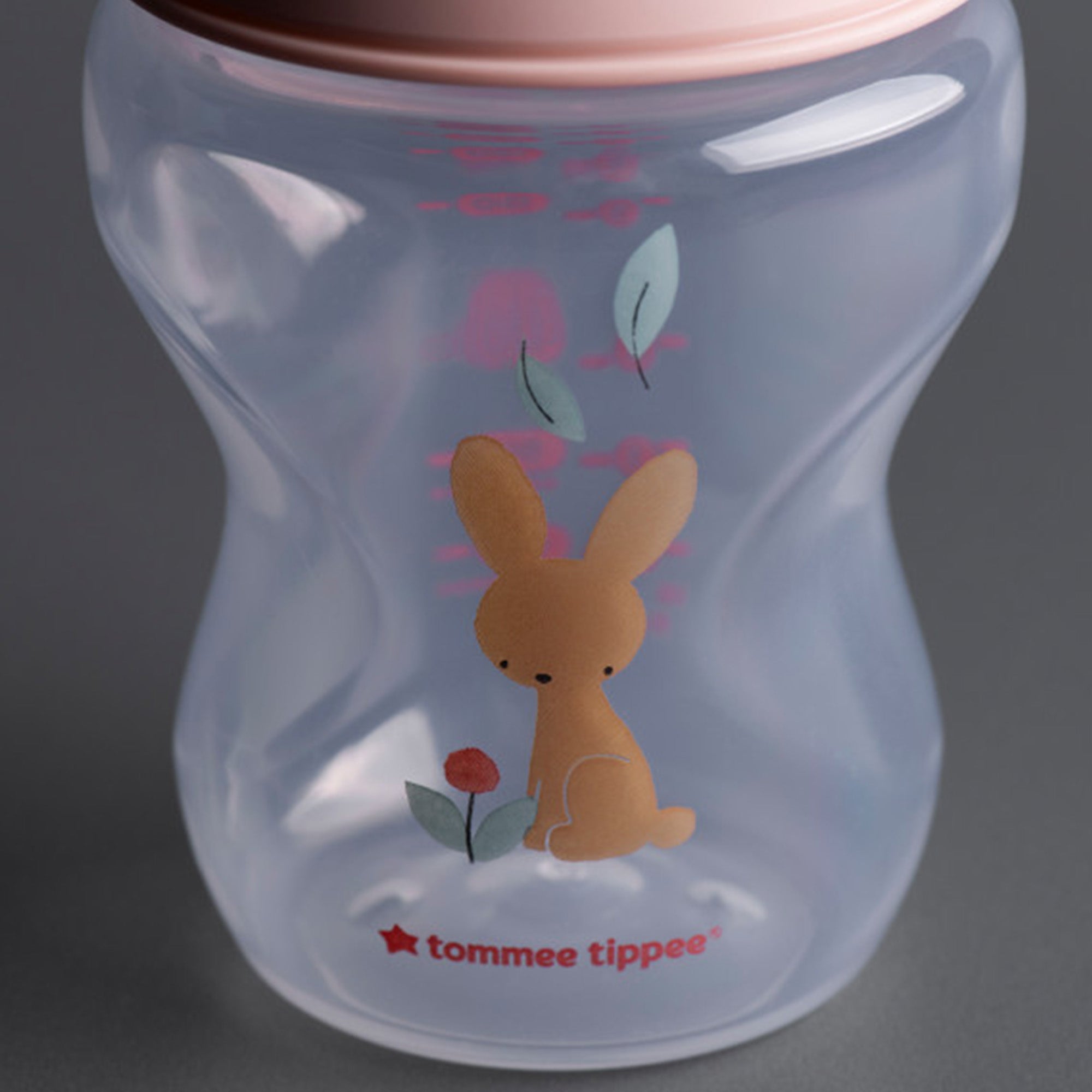 Tommee Tippee Natural Start 260ml Decorated Bottle 2pk – Girl