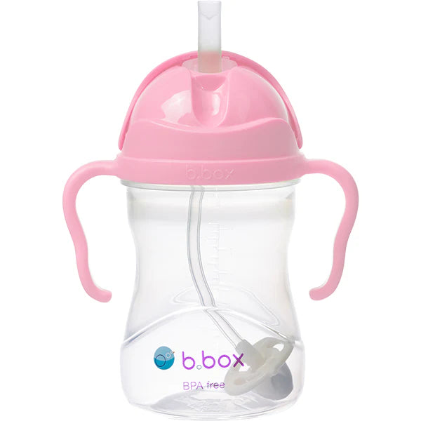 Sippy Straw Cup 240ml