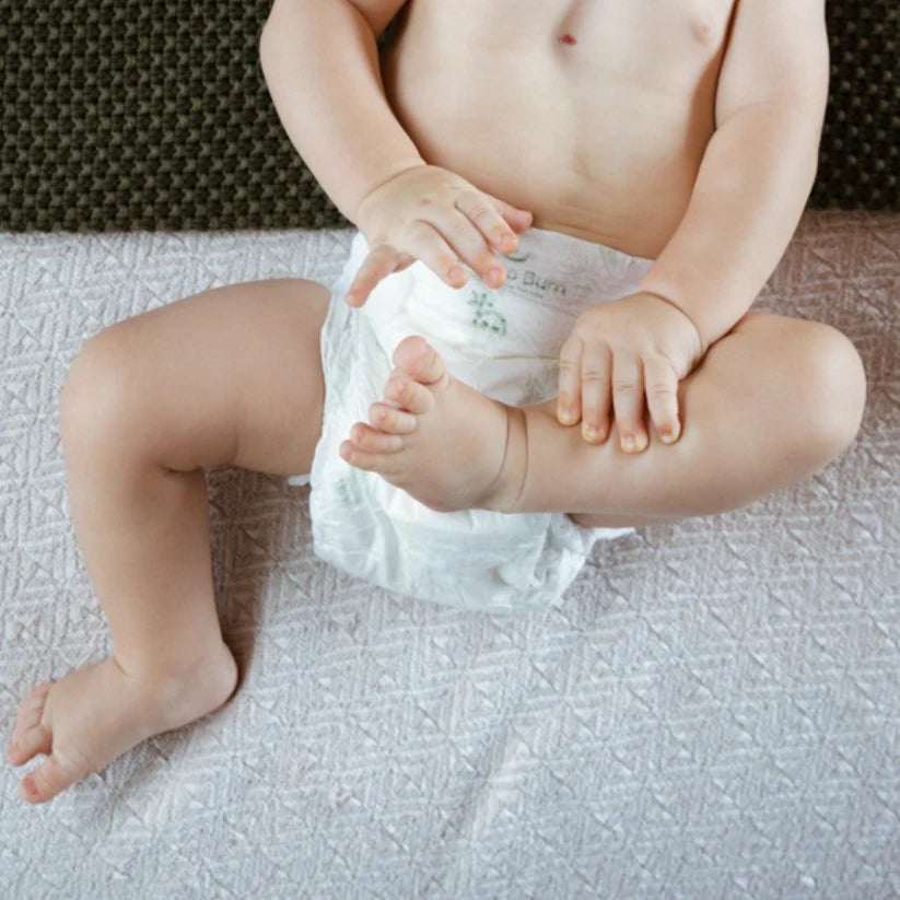 Eco-Luxe Nappy Trial Pack