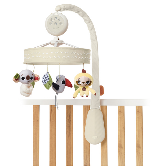 Boho Chic Tummy Time Mobile Entertainer