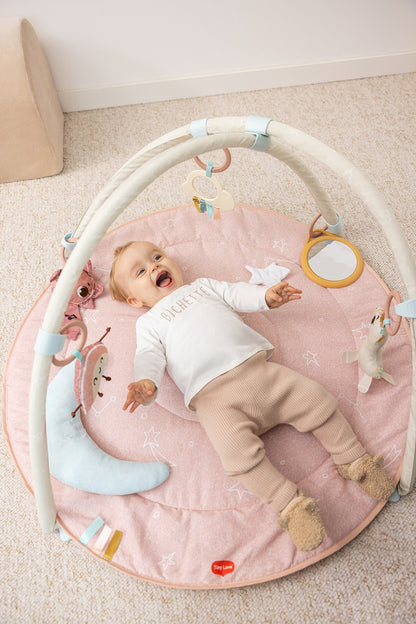 Unicorn Wonders Developmental Gymini®
