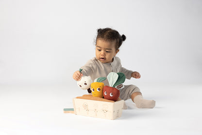 Garden of Adventures Garden Kit