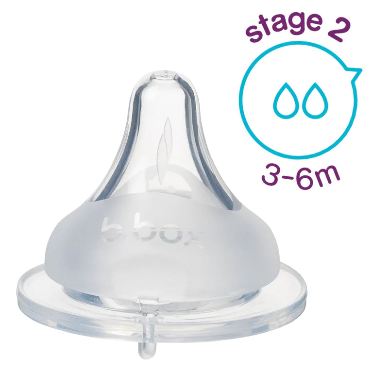 Baby Bottle Teats
